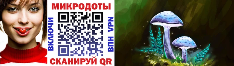 купить закладку  Кизел  Псилоцибиновые грибы Psilocybine cubensis 